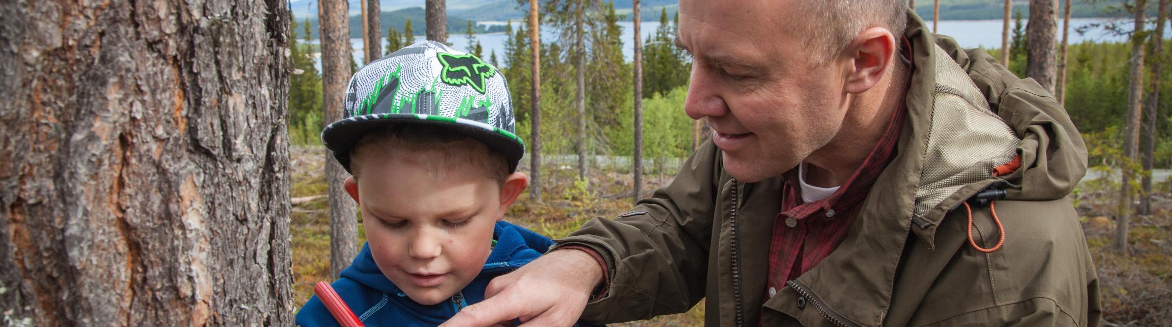 nordic family forest